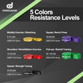 Odoland 5 Packs Pull Up Assist Bands, Pull Up Straps, Resistance Bands with Door Anchor and Handles, Stretch Mobility, Powerlifting and Extra