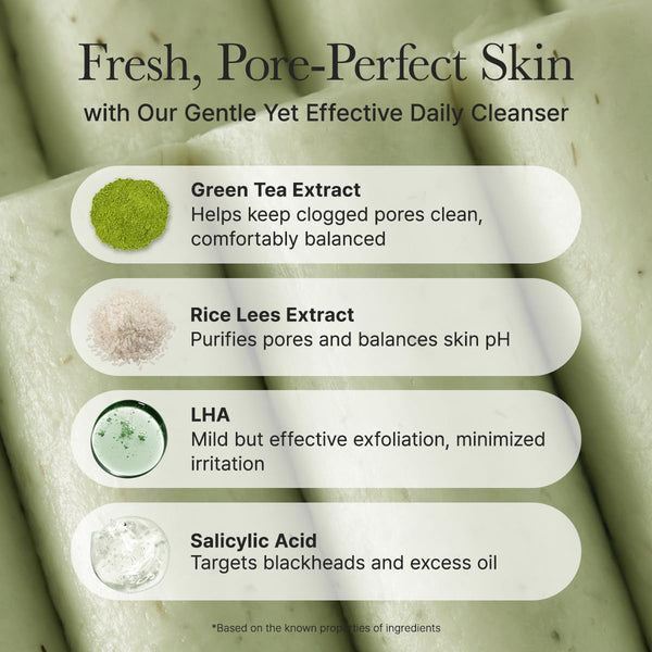 Salicylic Acid, Green Tea + LHA Deep Pore Rice Cake Cleanser, 5.07 Fl Oz