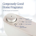 Aera Mini Home Hygiene Mint and Eucalyptus - Essential Oil for Home - Relaxing Fragrance - Notes of Orange Peel, Spearmint and Eucalyptus - Scent