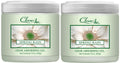 Clear Air Odor Absorber Gel - 15 Oz, Pack of 2 - Air Freshener Absorbs and Eliminates Odors in Bathrooms, Cars, Boats, Rvs and Pet Areas - Made