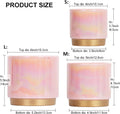 Gepege Pink Indoor Plant Pots for Plants, Ceramic Planter with Drainage Hole, 6.0 Inch+5.0 Inch+4.0 Inch. Succulent Orchid Flower Pot - Rainbow