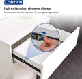 LONTAN 12 Inch Full Extension Ball Bearing Drawer Slides 2 Pairs Side Mount Cabinet Rails Tool Box Trash Can Glides Black Heavy Duty Kitchen