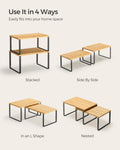 SONGMICS Cabinet Organizer Shelf, Set of 2 Kitchen Counter Shelves, Kitchen Storage, Spice Rack, Stackable, Expandable, Metal and Engineered Wood,