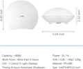 USB Essential Oil Diffuser, Mini Cute Shell Shape Aromatherapy Diffuser for Kids, 80Ml Ultrasonic Air Fresher USB Humidifier, BPA Free and