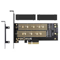 Dual M.2 PCIE Adapter for SATA or PCIE Nvme SSD with Advanced Heat Sink Solution,M.2 SSD NVME (M Key) and SATA (B Key) 22110 2280 2260 2242 2230
