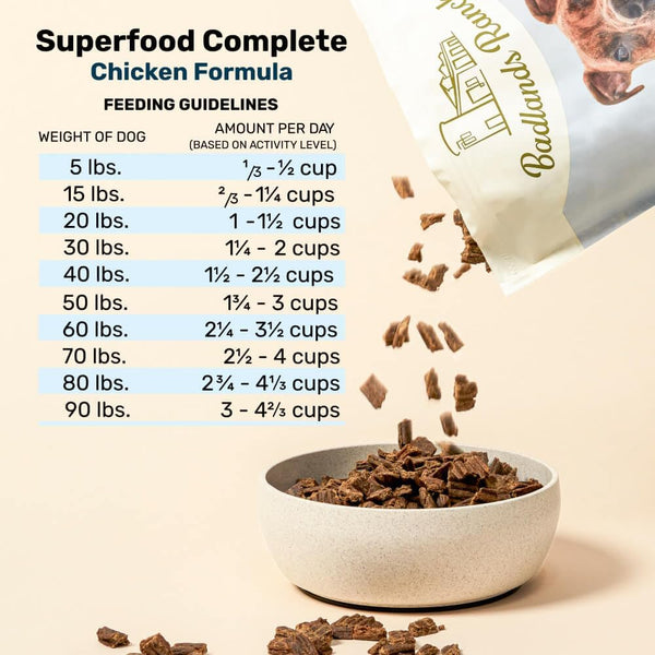 Superfood Complete, Air-Dried Adult Dog Food - High Protein, Zero Fillers, Superfood Nutrition by Katherine Heigl (24 Oz., Premium Chicken)