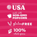 Pop N' Dulge Popcorn Movie Night Supplies 16 Pcs Gift Set, 5 Gourmet Popcorn Kernels, 5 Seasoning Variety Packs Non-Gmo Kosher Snacks, Great