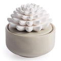 AiromÃ© White Succulent, Porcelain Passive Essential Oil Diffuser (With 15Ml Peppermint Essential Oil) â Non-Electric, Battery-Free, Improves