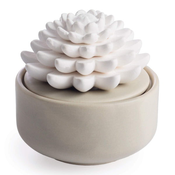 AiromÃ© White Succulent, Porcelain Passive Essential Oil Diffuser (With 15Ml Peppermint Essential Oil) â Non-Electric, Battery-Free, Improves