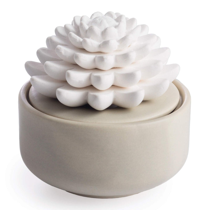 AiromÃ© White Succulent, Porcelain Passive Essential Oil Diffuser (With 15Ml Peppermint Essential Oil) â Non-Electric, Battery-Free, Improves
