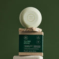 Tea Tree Special Shampoo, Deep Cleans, Refreshes Scalp, Especially Oily Hair, for All Hair Types