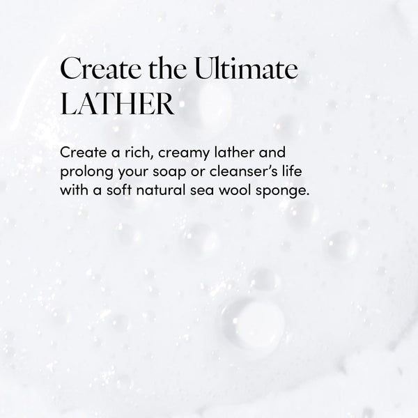 LATHER - Natural Sea Wool Sponge, 4-5" - Organic Exfoliating Body Scrubber - Soft, Gentle Cleansing - Hypoallergenic - All Skin Types - Florida
