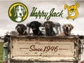 HAPPY JACK Mange Medicine & Treatment for Dogs & Horses - Brings Soothing Itch Relief to Severe Mange, Fungi, Allergies, Eczema & Most Dog Skin