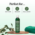 Clarifying Shampoo for Build up and Oily Hair - Deep Cleansing Shampoo with Rosemary - Refreshing Lemon for Greasy Hair & Jojoba Oil for Scalp