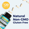 Newrhythm Probiotics 120 Billion CFU 36 Strains, 3-In-1 Probiotics for Digestive Health & Immune Support with Prebiotics & Enzymes, Probioticos