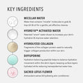 Hydropeptide Hydroactive Cleanse, Micellar Facial Cloths, Gently Cleanses Skin, Hydrating and Nourishing, 30 Count