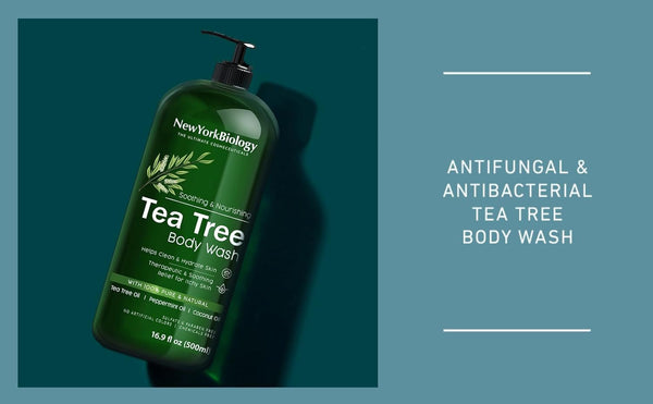 New York Biology Tea Tree Body Wash for Men and Women - Moisturizing Body Wash Helps Soothe Itchy Skin, Jock Itch, Athletes Foot, Nail Fungus,