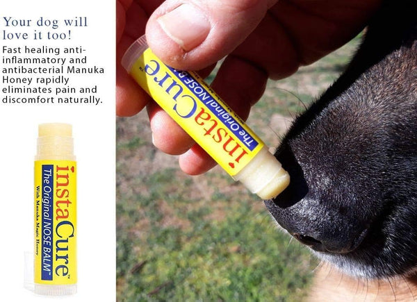 Original Nose Balm. Fast Relief for Cracked Dry & Sore Noses with Raw Manuka Honey Vitamin E Shea Butter Aloe Vera Oil. Heals DogâS Dry Cracked