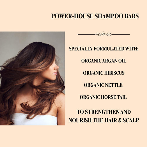 Aspen Kay Naturals Moroccan Argan Oil Shampoo Bar, Organic, Vegan, Volumizing Shampoo for Curly or Straight Hair. Citrus Scent, Paraben & Sulfate
