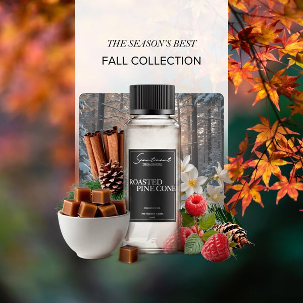Roasted Pine Cone Fall Collection Diffuser Oils | Aromatherapy Home Fragrance | Luxurious Scent with Notes of Pine, Raspberry, Caramel, 20Ml