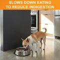 Neater Pet Brands Stainless Steel Slow Feed Bowl - Non-Tip & Non-Skid - Stops Dog Food Gulping, Bloat, Indigestion, and Rapid Eating (1-1/2 Cup)