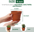 T4U 4 Inch Plant Pots 18-Pack, Small Flower Pots with Saucer and Drainage Hole, Durable Plastic Pots, Nursery Small Flower Pot Bulk for Plants,