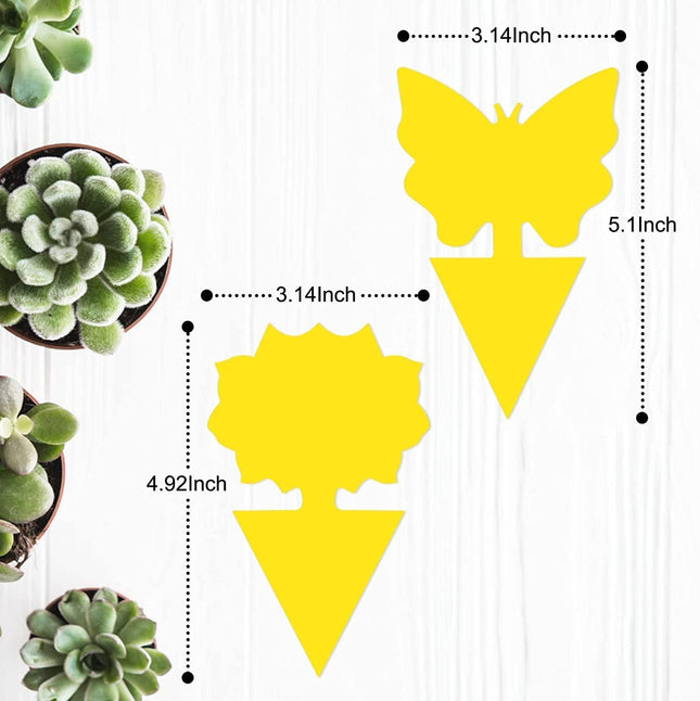 36 Pack Fruit Fly Trap for Indoors, Fungus Gnat Killer Indoor Sticky Traps for Mosquito, Bug Insect Catcher Killer for H