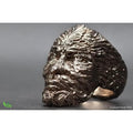 Siraya Tech Cast 3D Printer Resin Easy to Print Use and Burn High Resolution Castable 405Nm LCD Uv-Curing Photopolymer Resin for Making Jewelries