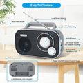 DreamSky AM FM Portable Radio Plug In Wall or Battery Operated for Home & Outdoor, Strong Reception & Sound, Large Dial Easy to Use, Transistor