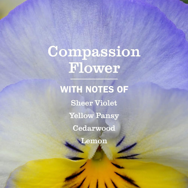 MRS. MEYER'S CLEAN DAY All-Purpose Cleaner Spray, Compassion Flower, 16 Fl. Oz (Pack of 3)