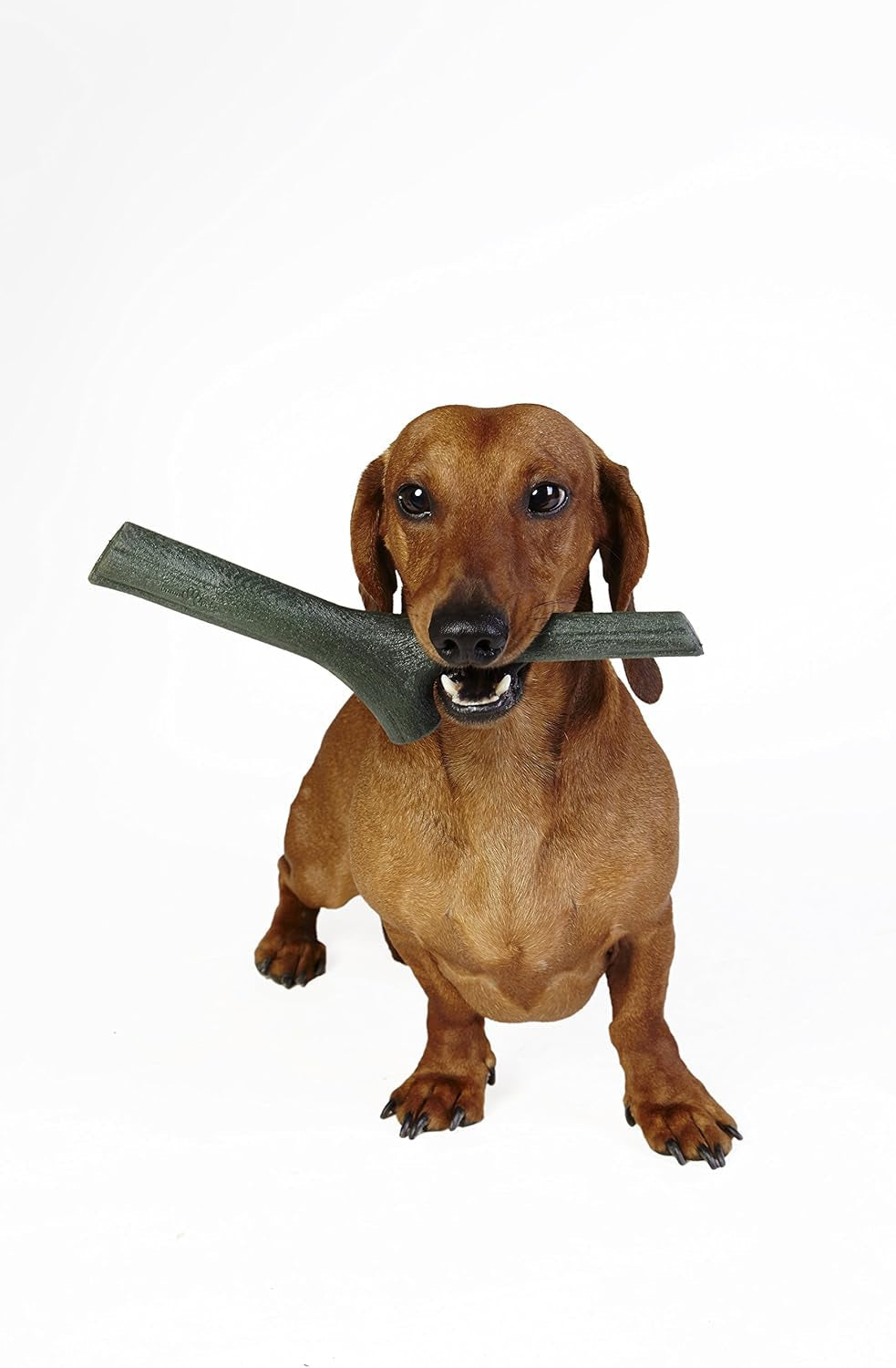 Pet AP-19155 Tuttomio Play-More Pet Stick - Mini