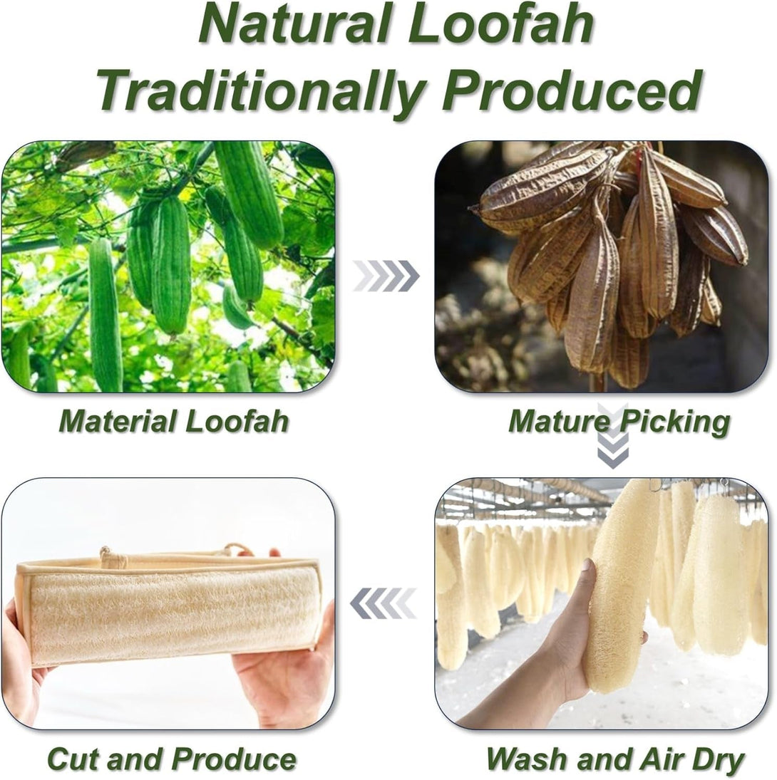 Natural Loofah Sponge, Exfoliating Body Scrubber for Men Women, Loofah with Handle, Exfoliating Back Scrubber for Shower Set, Deeply Clean & Invigorate Your Skin (2 Pcs in Box)