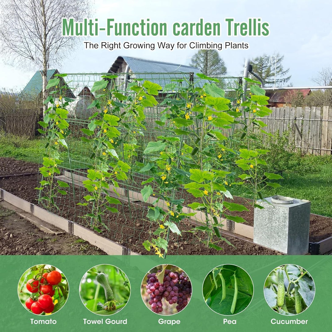 55" H X 36" W Cucumber Trellis, Trellis for Climbing Plants Outdoor, A-Frame Cucumber Trellis for Raised Bed Garden Vegetable Grow Supports, Tomato Plant Support for Tomato Squash Zucchini (A Frame)