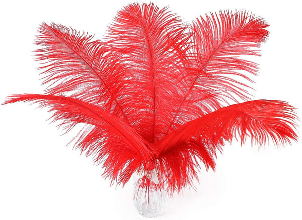 24Pcs Natural Bright Red Ostrich Feathers 10-12Inch (25-30Cm) for Wedding Party Centerpiecesï¼ŒFlower Arrangement and Home Decoration.