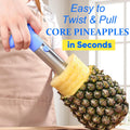Pineapple Corer, [Upgraded, Reinforced, Thicker Blade] Newness Premium Pineapple Corer Remover, Stainless Steel Pineapple Core Tool for Home &