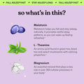 Lemme Sleep Gummies with 5Mg Melatonin, Elderberry, Magnesium, L-Theanine, Chamomile and Lavender, Drug-Free Nighttime Sleep Aid, Gluten Free,