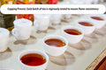 Cozy up 10 Flavors Variety Tea Sampler Compatible with Keurig K-Cup Brewers, 100-Count