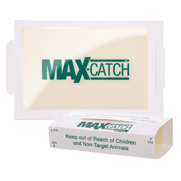 Catchmaster Max-Catch Mouse & Insect Glue Trap 36Pk, Mouse Traps Indoor for Home, Sticky Pest Control Adhesive Tray for Catching Bugs, Non Toxic