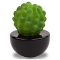 Frank Cactus, Non-Electric Ceramic Diffusers for Essential Oils and Aromatherapy Fragrance, White Ceramic Diffusers in Car or Desk Office Decor