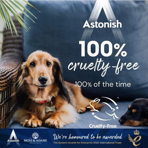 Astonish Daily Bathroom Shower Shine Cleaning Spray - Hibiscus Blossom Limescale Remover Shower Spray Prevents Watermarks from Hard Water - Health