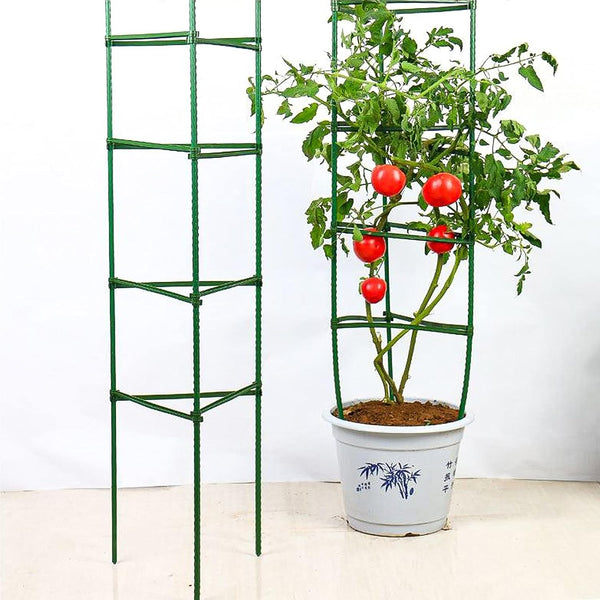 30PCS Stake Arms for Tomato Cage?Expandable Trellis Connectors-11.8" with 2 Buckles for Tomato Cage Attach 11Mm Diameter Plant Stakes