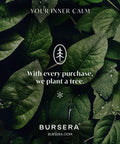 Bursera Essential Oil Diffusing Stone, Portable Non-Electric Essential Oil Diffuser, Tree Planted with Every Order, Natural Waterless Passive