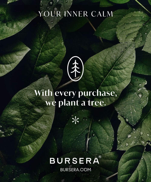 Bursera Essential Oil Diffusing Stone, Portable Non-Electric Essential Oil Diffuser, Tree Planted with Every Order, Natural Waterless Passive