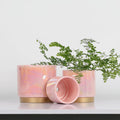 Gepege Pink Indoor Plant Pots for Plants, Ceramic Planter with Drainage Hole, 6.0 Inch+5.0 Inch+4.0 Inch. Succulent Orchid Flower Pot - Rainbow