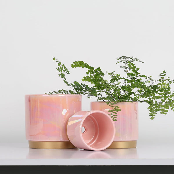 Gepege Pink Indoor Plant Pots for Plants, Ceramic Planter with Drainage Hole, 6.0 Inch+5.0 Inch+4.0 Inch. Succulent Orchid Flower Pot - Rainbow
