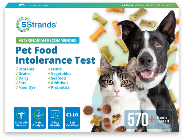 5Strands Pet Food Intolerance Test, at Home Sensitivity Test for Dogs & Cats, 270 Items, Hair Analysis, Accurate for All Ages & Breeds, Pet Gut