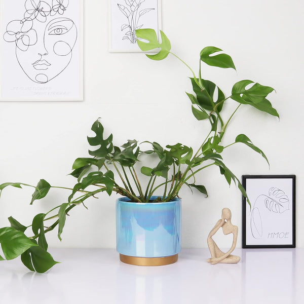 Gepege Ceramic Pots for Plants, Rainbow Pearl Glaze Planter with Drainage Hole, 6.0 Inch+5.0 Inch+4.0 Inch. Indoor-Outdoor Large round Succulent