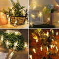 Dopheuor Photo Clip String Lights LED Fairy Clip String Lights Hanging Photo Pictures Battery Operated for Gifts Patio Christmas Bedroom Wedding