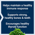 Life Extension Vitamins D and K with SeaIodine Bone Brain Thyroid Arterial Support Non GMO Once Daily Gluten Free, 60 Count 60 Count (Pack of 1)