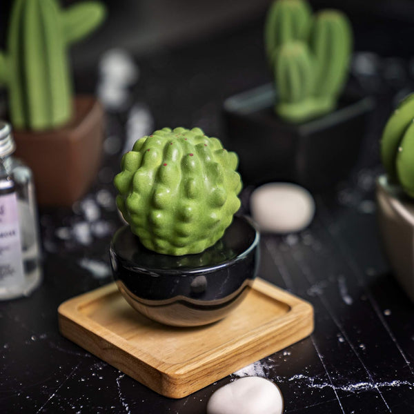Frank Cactus, Non-Electric Ceramic Diffusers for Essential Oils and Aromatherapy Fragrance, White Ceramic Diffusers in Car or Desk Office Decor